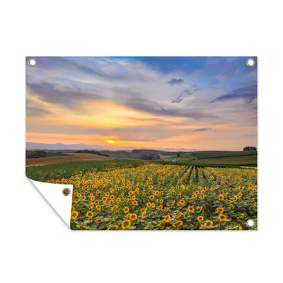 Obrázek produktu pro MuchoWow® Zahradní plakáty - Slunce - Květiny - Krajina - 120x160 cm - Zahradní dekorace
