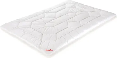 Produktbild von Paradies Winterbett SINFONIE BIO BL 135x200 cm weiß Bettdecke