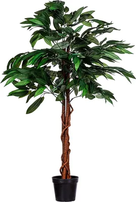 Produktbild von PLANTASIA Kunstpflanze Mangobaum 120 cm