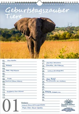 Produktbild von Geburtstagsplaner Geburtstagskalender Tierzauber DIN A3 Kalender verschiedene Tiere - Seelenzauber