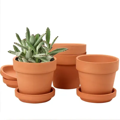 Immagine prodotto di Set di 4 vasi in terracotta con sottovasi