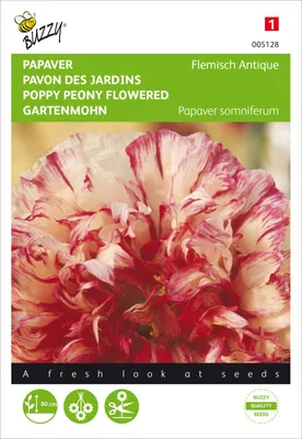 Produktbild von Schlafmohn Flemish Antique | Mohnsamen von Buzzy Seeds