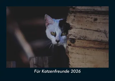 Produktbild von Für Katzenfreunde 2026 Fotokalender DIN A5