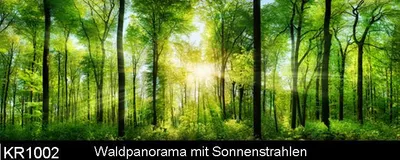 Produktbild von Küchenrückwand, Nischenverkleidung, perfekt für die Küche & das Esszimmer 180x60cm -KR1002