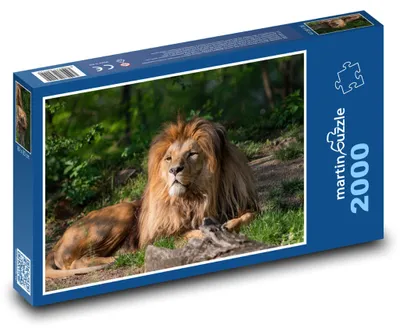 Obrázok produktu pre Puzzle 2000 Kráľ Zvierat - Lev - martinpuzzle
