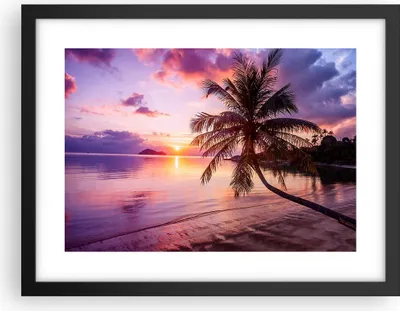 Produktbild von Gerahmtes Poster - Schwarzer Rahmen - Strand Meer Palme - 40x30 cm - Wand Bild - Wanddeko - Wandbilder - Kunstposter - Wandposter - Bilderrahmen - Bilder - Kunstdruck - Wandbild - P2BAA40x30-3912