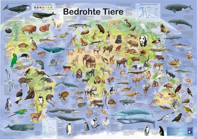 Produktbild von Bedrohte Tiere