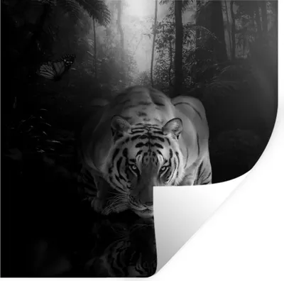 Produktbild von MuchoWow® Wandtattoo Wandsticker Wandaufkleber Tiere - Schmetterling - Tiger - Schwarz - Weiß 80x80 cm Selbstklebend und Repositionierbar - Wierderverwendbar - Selbstklebend