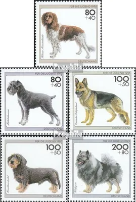 Produktbild von Briefmarken BRD (BR.Deutschland) 1995 Mi 1797-1801 (kompl.Ausg.) Ersttagsblatt Jugend: Hunderassen