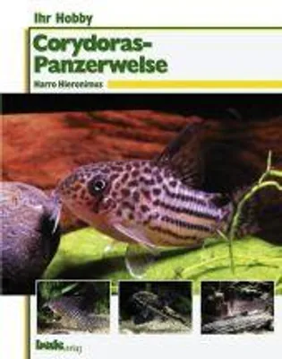 Produktbild von Ihr Hobby: Corydoras-Panzerwelse