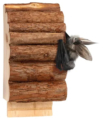 Produktbild von Gardigo Fledermauskasten aus Holz, Fledermaus Nistkasten zum Aufhängen