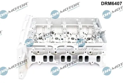Zdjęcie produktu dla Głowica Silnika Ford Transit 2.4Tdci 06-