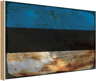 Produktbild von vianmo Holzschild 30x40 cm Estland Estonia Flagge Fahne Wappen