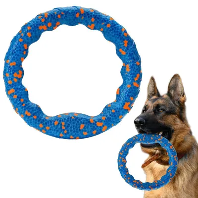 Produktbild von Hundespielzeug Ring 23 cm Blau-Orange Schwimmfähig Zerrspielzeug