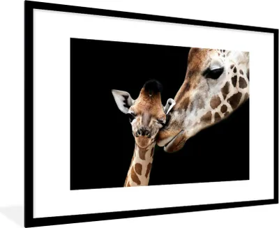 Produktbild von MuchoWow® Gerahmtes Poster Giraffe - Tiere - Schwarz - Porträt - Tiere 90x60 cm - Poster mit Schwarzem Bilderrahmen Wandposter Rahmen Foto Bilder - Wanddekoration - Fotos