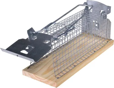 Produktbild von SWISSINNO 1584001 1 584 001 Mouse Classic Lebendfalle 1St