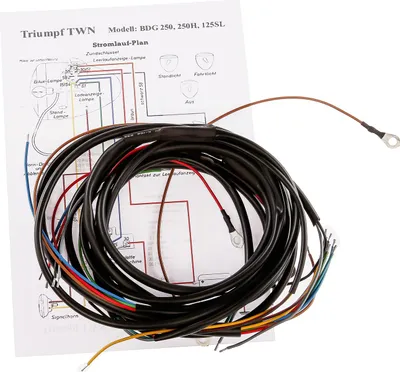 Obrázek produktu pro Kabelový svazek s obvodem - pro Triumph TWN BDG250, 250H, 125SL