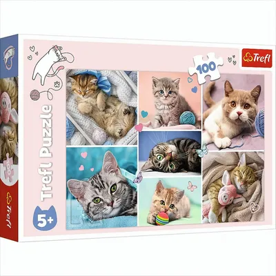 Produktbild von TREFL Puzzle In der Welt der Katze 100 Teile