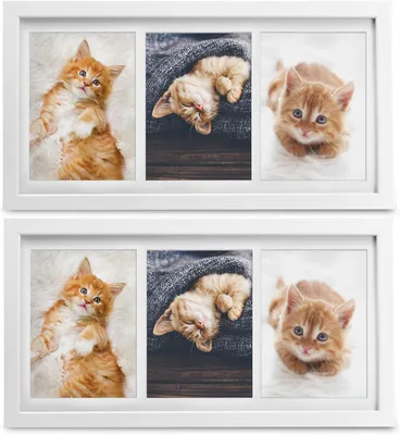 Image de Bomoe 2x cadre photo collage pour 3 photos Galeria, 10x15 cm, blanc