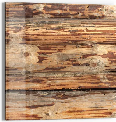 Produktbild von DEQORI Glasbild Echtglas 30x30 cm 'Muster der Natur' Wandbild Bild modern Deko