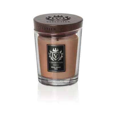 Zdjęcie produktu dla Wild Cedar Tree Vellutier 225 G