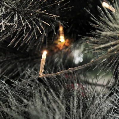 Immagine prodotto di Konstsmide - Micro luci a LED, 80 diodi bianchi caldi, trasformatore per esterni da 24 V, cavo trasparente ; 3611-103