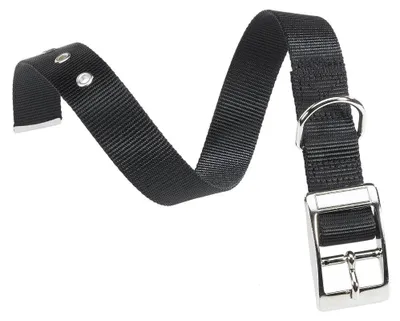 Produktbild von Hundehalsband aus Nylon mit verchromter Metallschließe, in verschiedenen Farben erhältlich