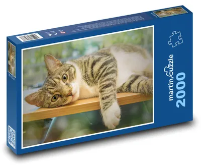Obrázek produktu pro martinpuzzle - Puzzle 2000 - Roztomilá kočka