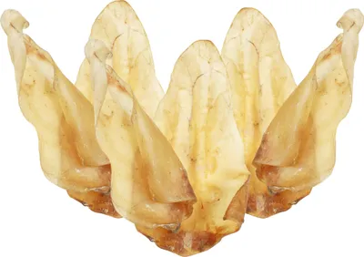 Produktbild von 180g (ca. 10 Stck.) Schecker Rinderohren für Hunde - getrocknet - fettarm - ohne Zusatzstoffe