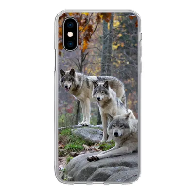 Produktbild von MuchoWow® Handyhülle Schutzhülle Hülle für iPhone X Wölfe - Fels - Wald Silikon Softcase Handy Hülle - Handyhülle