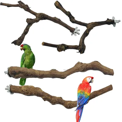 Produktbild von 4er Set Vogel Sitzstangen Naturholz Traubenstab 23-30cm 2-3cm Durchmesser