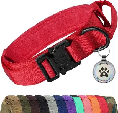 Produktbild von Famanu Hundehalsband mit Handgriff - Rot, M