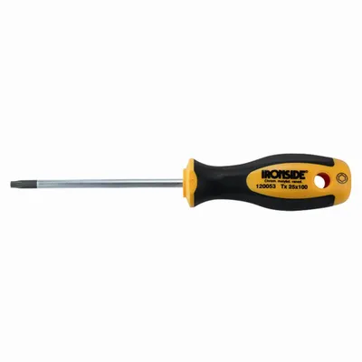 Image de Tournevis TZD T10 x 100 mm Manche bi-composant Acier au chrome-vanadium