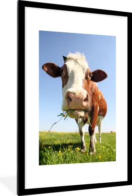 Produktbild von MuchoWow® Gerahmtes Poster Kuh - Tiere - Blumen - Gras 60x90 cm - Poster mit Schwarzem Bilderrahmen Wandposter Rahmen Foto Bilder - Dekoration - Wandposter Wohnzimmer - Hochwertig