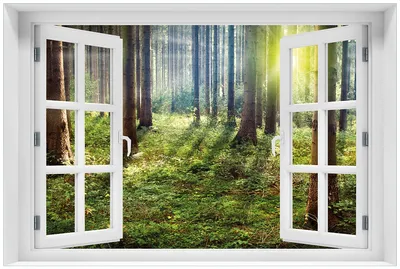 Produktbild von Wallario Premium Glasbild mit Fensterrahmen, freischwebende Optik, kräftige Farben, Größe 60 x 90 cm Motiv Sonnenuntergang im Wald zwischen den Bäumen