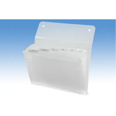 Produktbild von Rexel Fächermappe ICE, DIN A4, 6 Fächer, PP, 1 Stück Farbe: sortiert