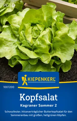 Produktbild von Kiepenkerl Kopfsalatsamen Kagraner Sommer 2 Lactuca sativa 400 Pflanzen
