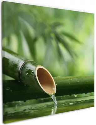 Produktbild von Wallario Premium Leinwandbild Bambusquelle  Bambusrohr mit Wasser in Größe 50 x 50 cm