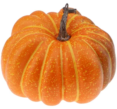 Obrázok produktu pre 20 cm dekoratívna tekvica