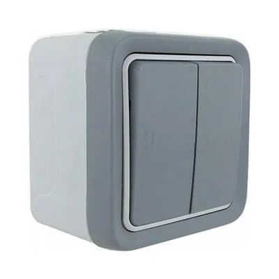 A product shot of a double light switch.