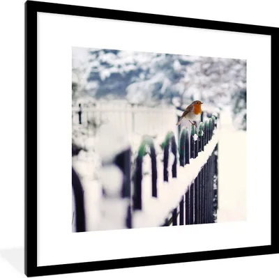 Produktbild von MuchoWow® Gerahmtes Poster Rotkehlchen - Winter - Schnee 40x40 cm - Poster mit Schwarzem Bilderrahmen Wandposter Rahmen Foto Bilder - Poster - Plakat im Rahmen