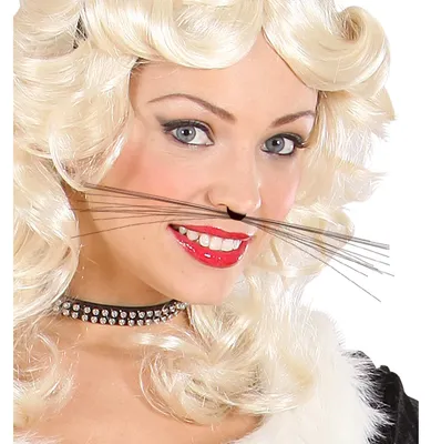 Produktbild von Katzen Schnurrbart W WIDMANN MILANO 1804A Schwarz Karneval Mottoparty Accessoire