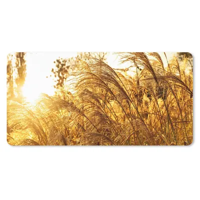 Produktbild von MuchoWow® Schreibtischunterlage Pampasgras - Sonne - Gras 80x40 cm - XXL Mauspad - Gaming Mauspad