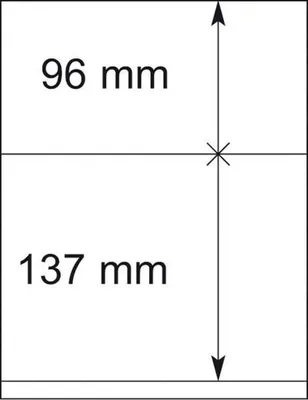 Produktbild von Lindner 802209P T-Blanko-Blätter - 10er-Packung