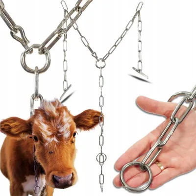 Obrázek produktu pro Řetězový kladkostroj Řetězy – 70 cm – pozinkované – 8 mm – robustní řetězy