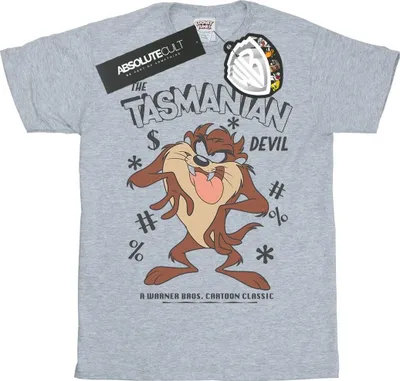 Produktbild von Looney Tunes - T-Shirt für Damen BI1653 (M) (Grau)