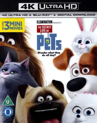 Produktbild von Pets [BLU-RAY+BLU-RAY 4K]