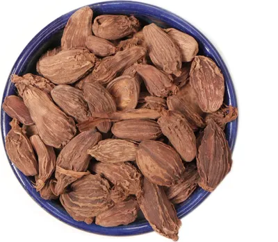 Produktbild von Jalda Schwarzer Kardamom aus Kerman