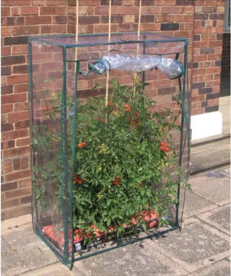 Image de Serre à tomates ; structure en tube d'acier, peinte par poudrage
