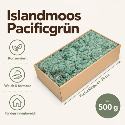 Produktbild von Islandmoos 500 g in über 30 Farben, konservierte Rentierflechte Deko Basteln, Farbe:Pacificgrün
